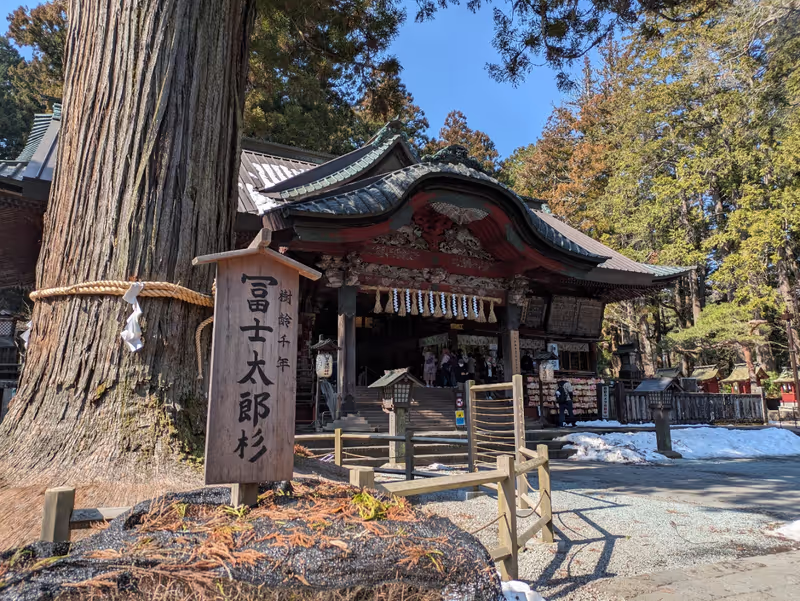 Mount Fuji Private Tour - 