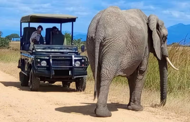 Dar es Salaam Private Tour - 