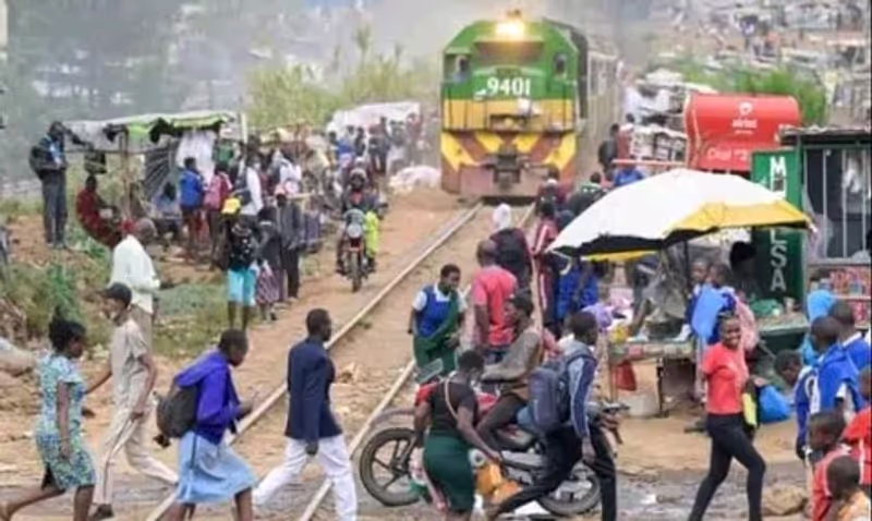 Nairobi Private Tour - 