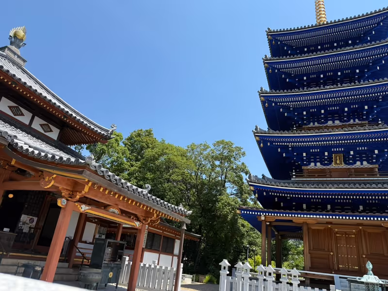 Hyogo Private Tour - Nakayama temple
