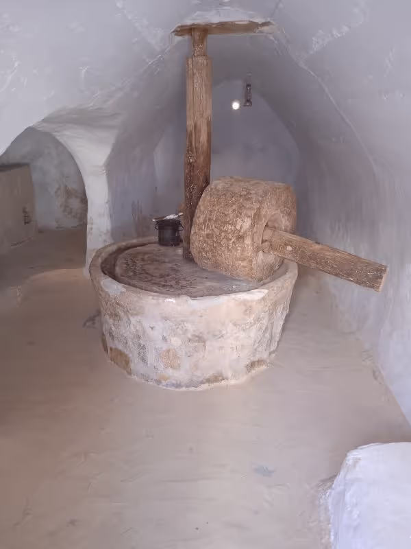 Tunis Private Tour - 