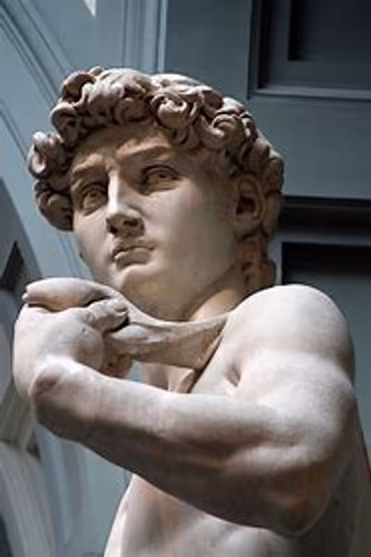 Florence Private Tour - David by Michelangelo