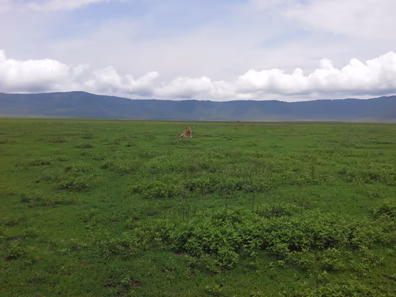 Moshi Private Tour - 