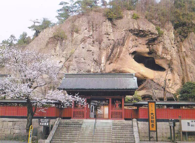 Tochigi Private Tour - 