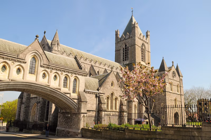 Dublin Private Tour - Christchurch - Dublin