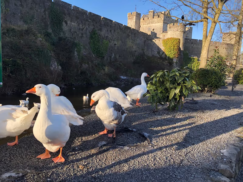 Dublin Private Tour - Cahir Castle - Tipperary
