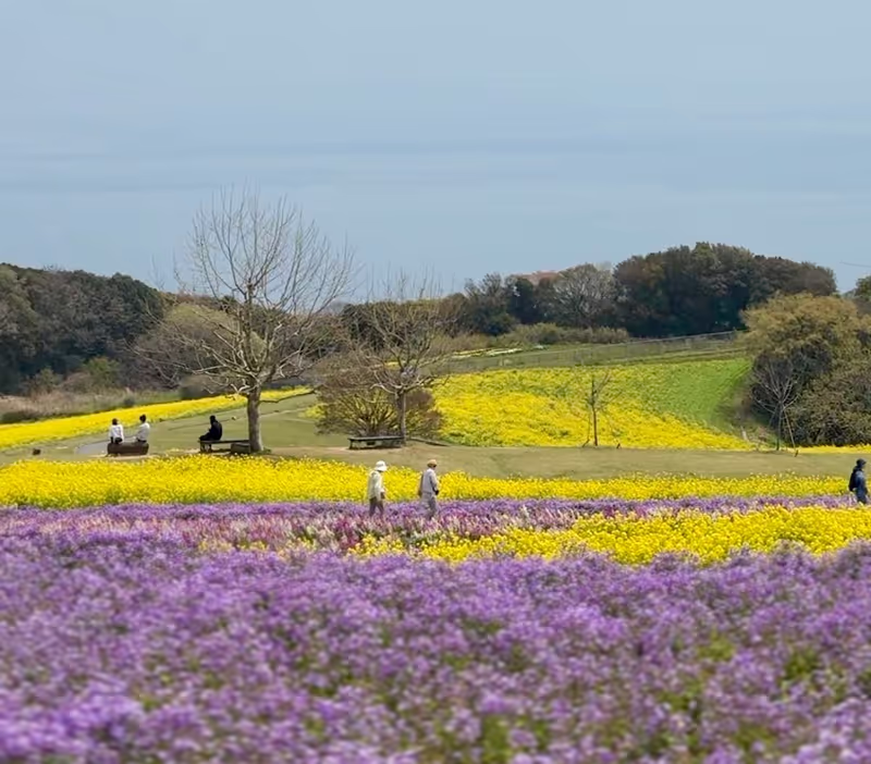 Kobe Private Tour - Awaji hanasajiki