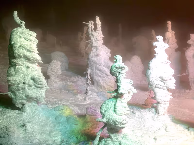 Miyagi Private Tour - Snow Monsters 1