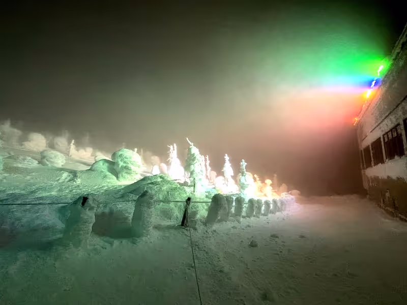 Miyagi Private Tour - Lighting up