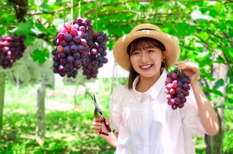 Nagoya Private Tour - 