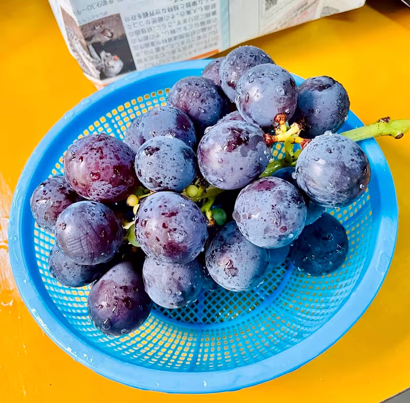 Nagoya Private Tour - 