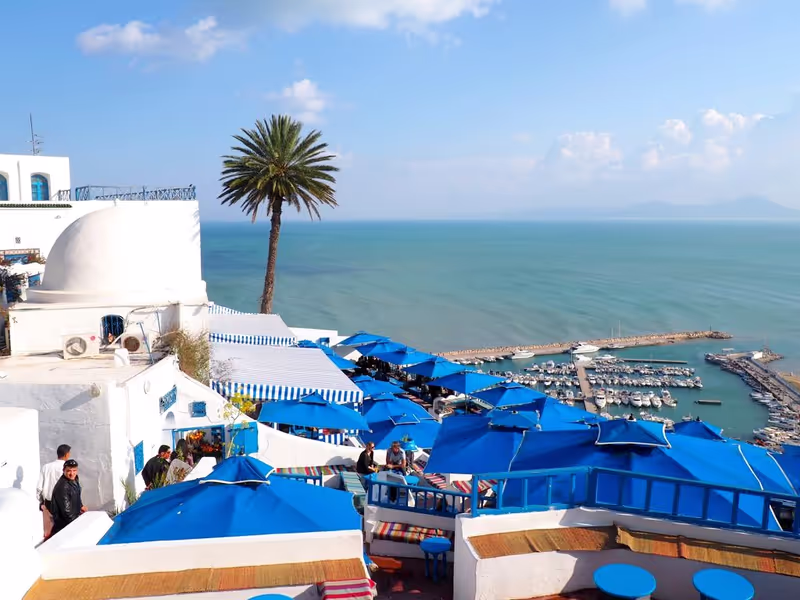 Tunis Private Tour - 
