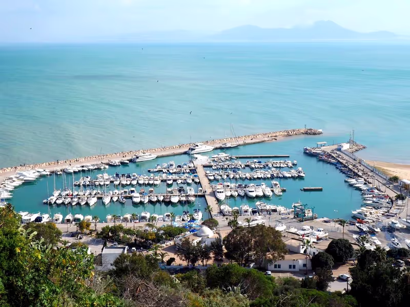 Tunis Private Tour - 