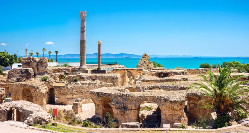 Tunis Private Tour - 
