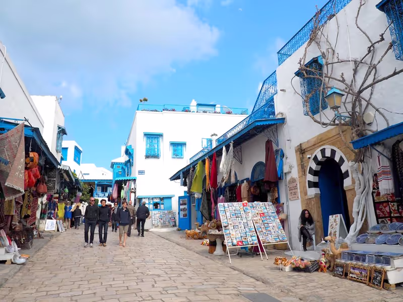 Tunis Private Tour - 