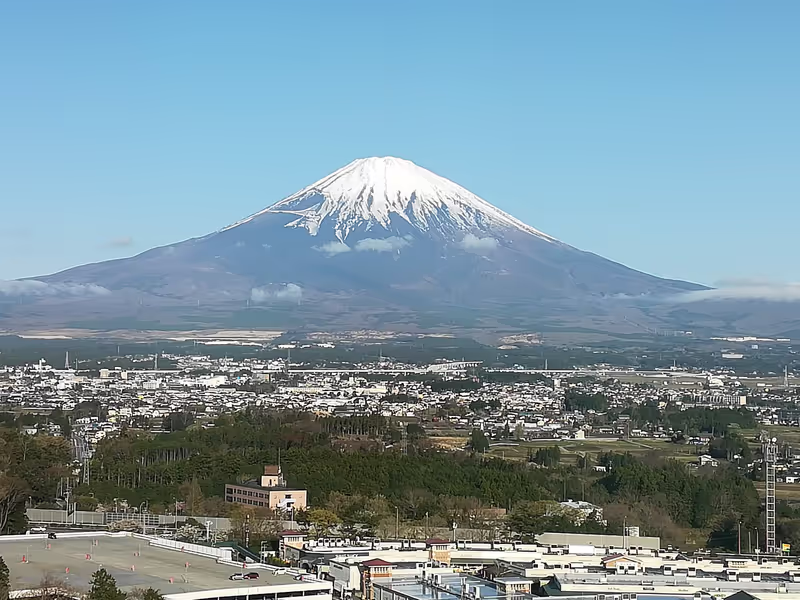 Shizuoka Private Tour - Beautiful Mount Fuji in April