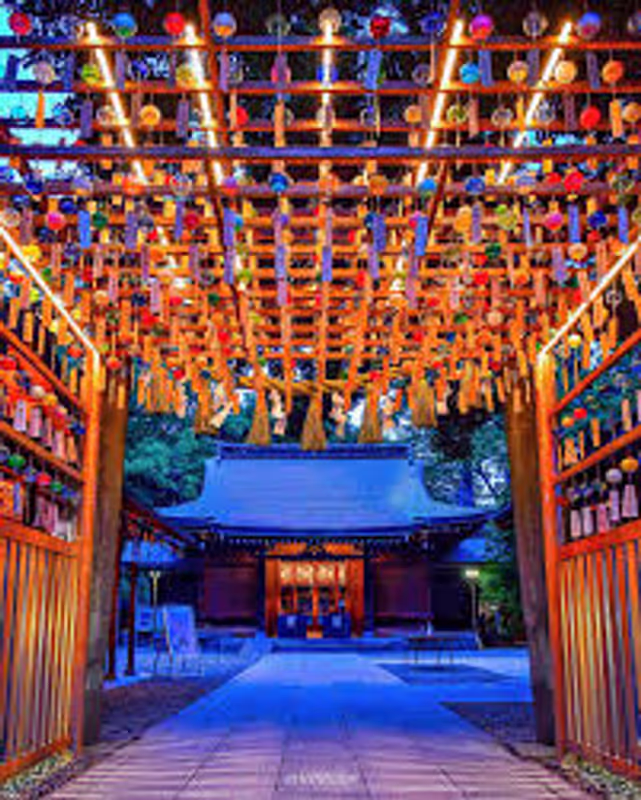 Saitama Private Tour - Kawagoe Hikawa Shrine