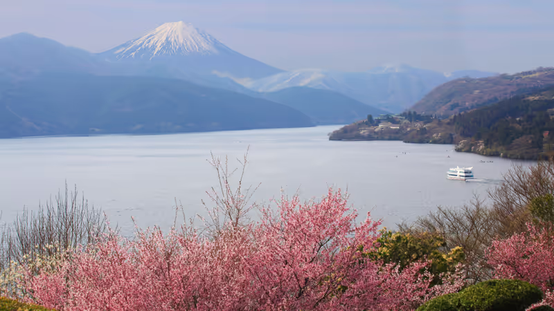Hakone Private Tour - Lake, cherry blossoms, and Mt. Fuji