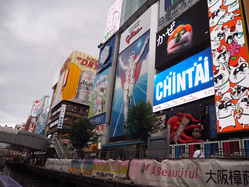 Osaka Private Tour - Dotonbori