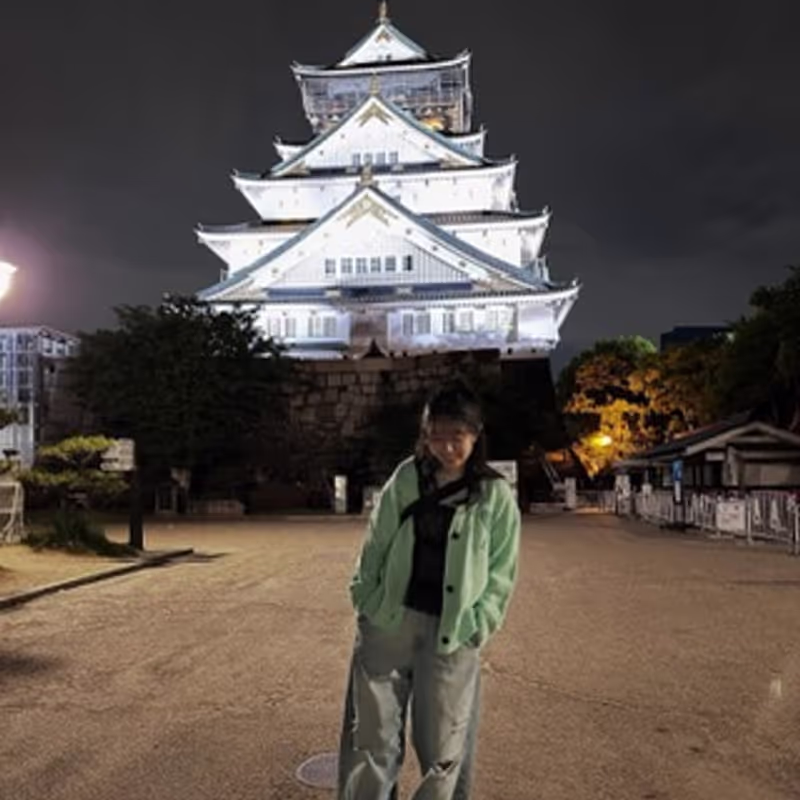 Osaka Private Tour - Osaka castle
