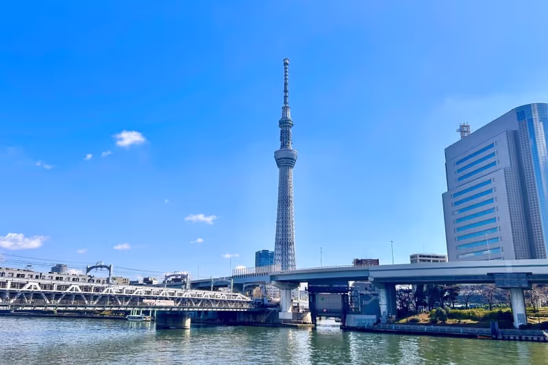 Tokyo Private Tour - TOKYO SKYTREE.jpg