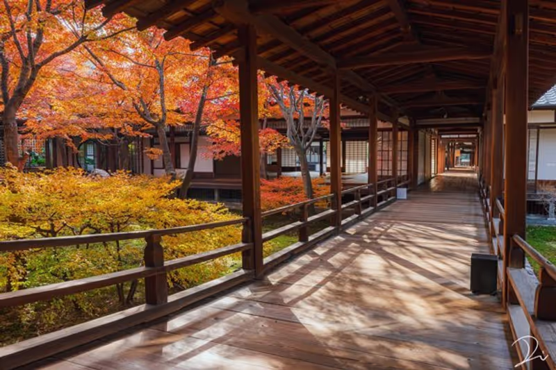 Kyoto Private Tour - 