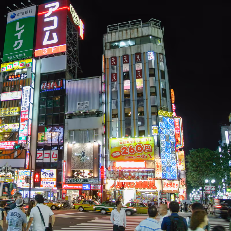 Tokyo Private Tour - Tour of Shinjuku