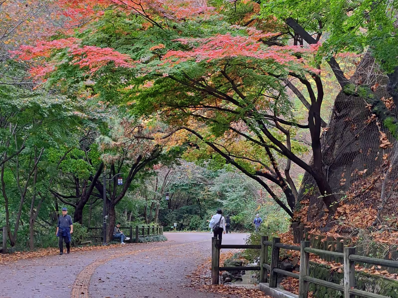 Seoul Private Tour - Namsan Mountain