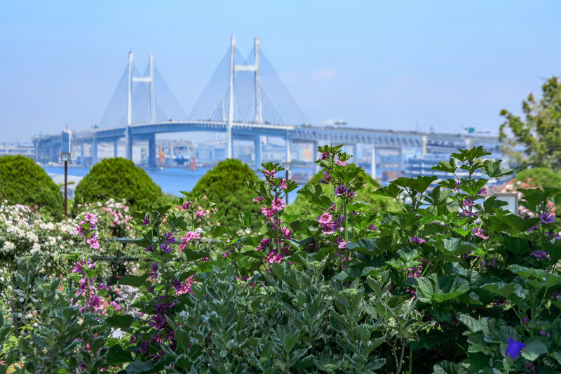 Yokohama Private Tour - Harbor view with blooms and blue sky