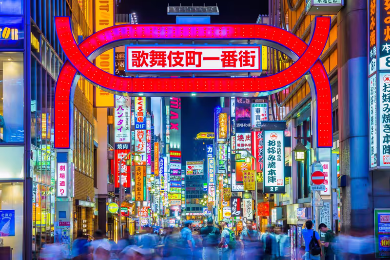 Tokyo Private Tour - Kabuchicho - Shinjuku