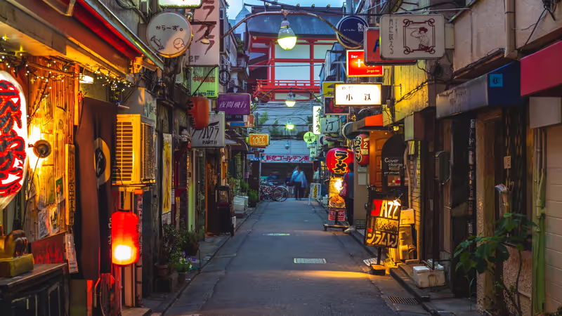 Tokyo Private Tour - Golden Gai - Night in Shinjuku