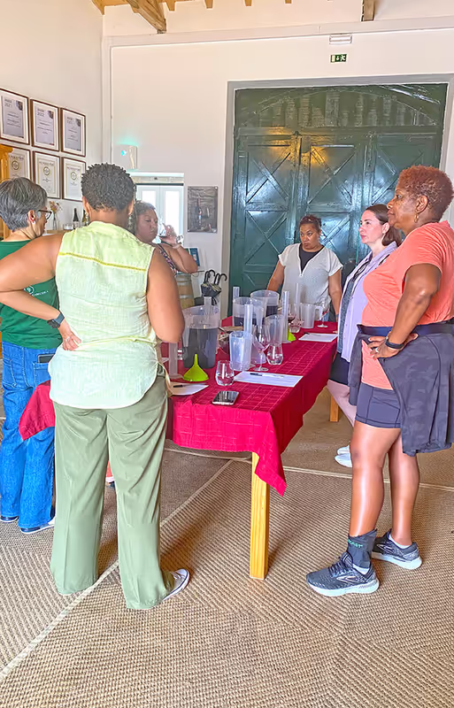 Lisbon Private Tour - Learning to blend from 3 grapes