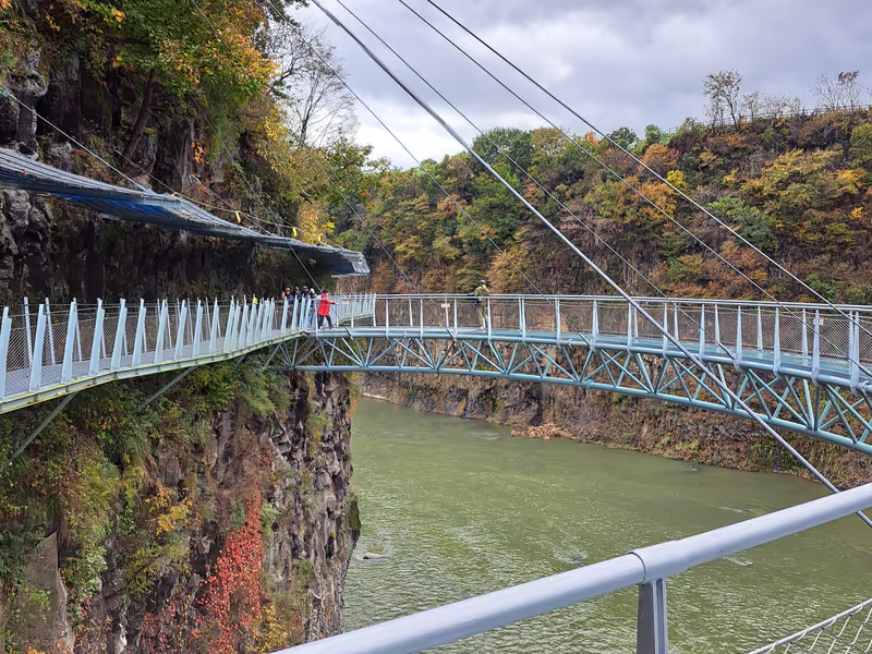 Seoul Private Tour - Hantangang Columnar Jointing Trail