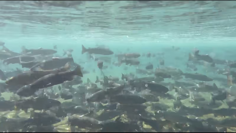 Miyagi Private Tour - Fishing farm Haruna
