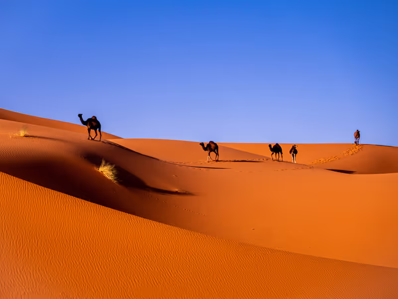 Ouarzazate Private Tour - Erg Chegaga