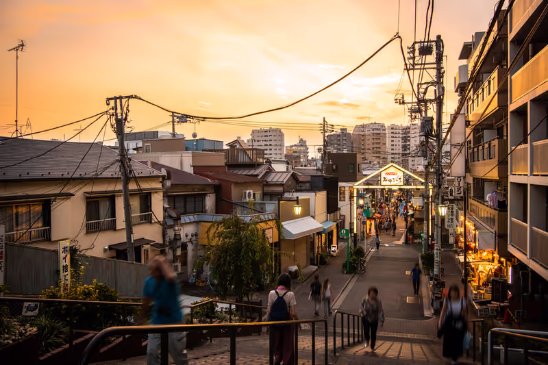 Tokyo Private Tour - Yanaka Ginza