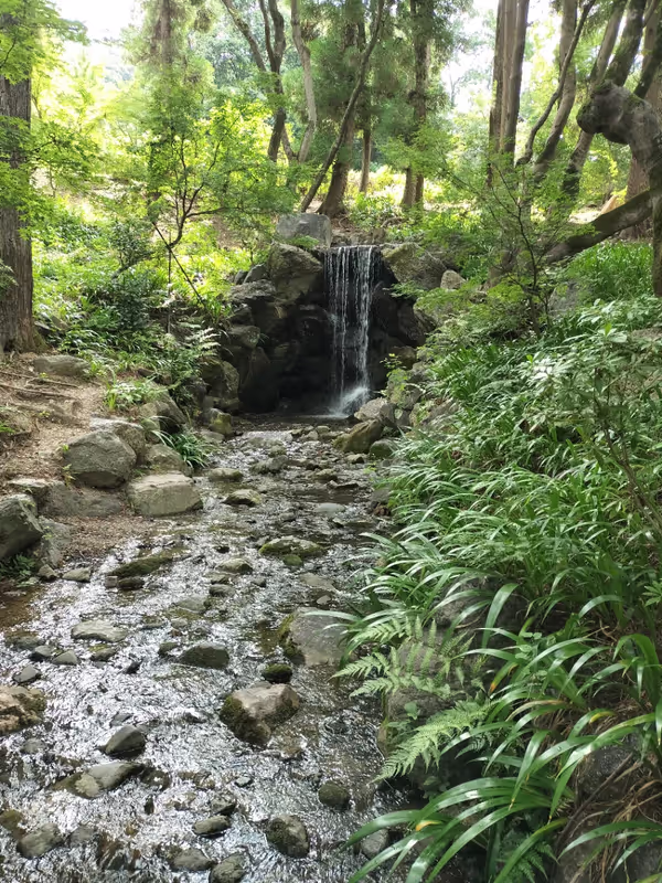 Kyoto Private Tour - Maruyama park