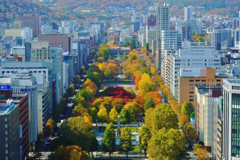 Sapporo Private Tour - Odroi Park