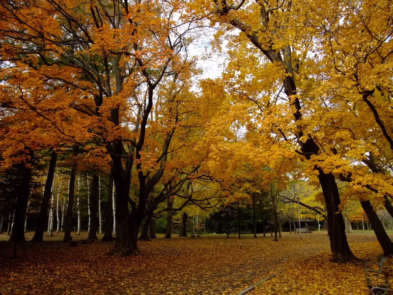 Sapporo Private Tour - Maruyama Park