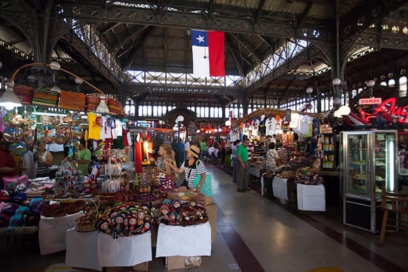 Santiago Private Tour - 