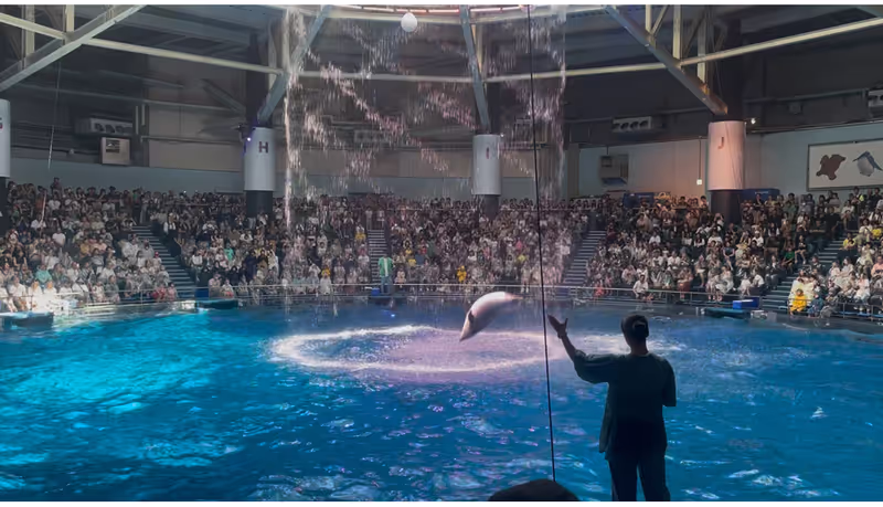 Tokyo Private Tour - Aqua Park Dolphin shows