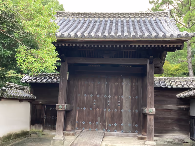 Kumamoto Private Tour - 