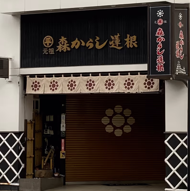 Kumamoto Private Tour - 