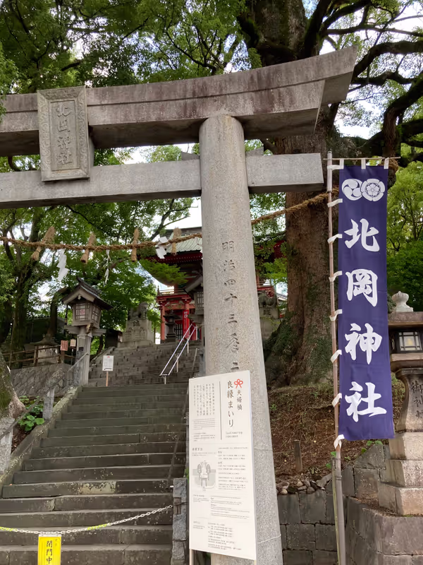 Kumamoto Private Tour - 