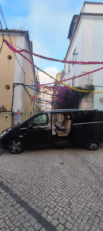 Lisbon Private Tour - Van transport