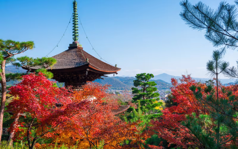 Kyoto Private Tour - Jojakkoji