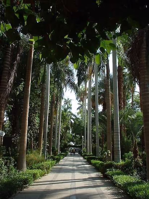 Aswan Private Tour - Botanical garden