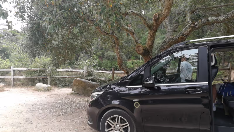 Lisbon Private Tour - Van