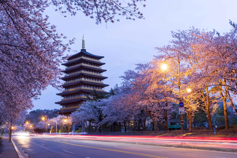 Gyeongju Private Tour - 