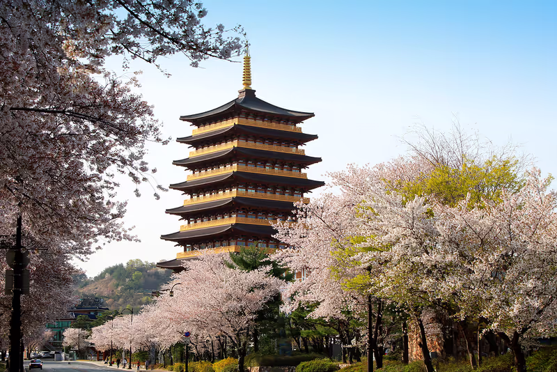 Gyeongju Private Tour - 